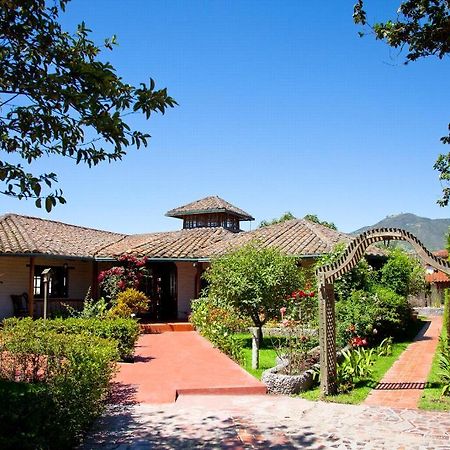 ホテル La Quinta San Andres イバラ エクステリア 写真