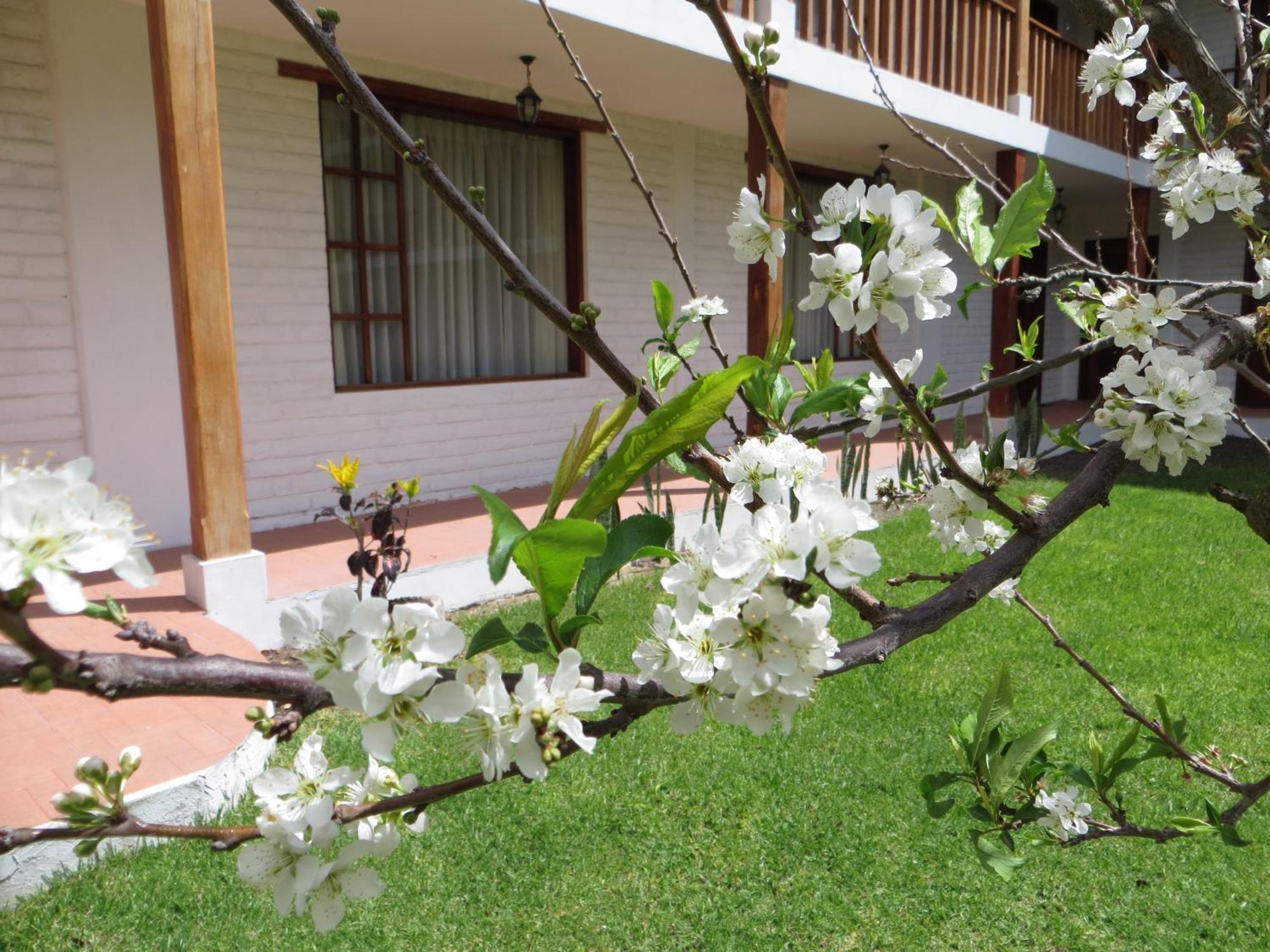 ホテル La Quinta San Andres イバラ エクステリア 写真