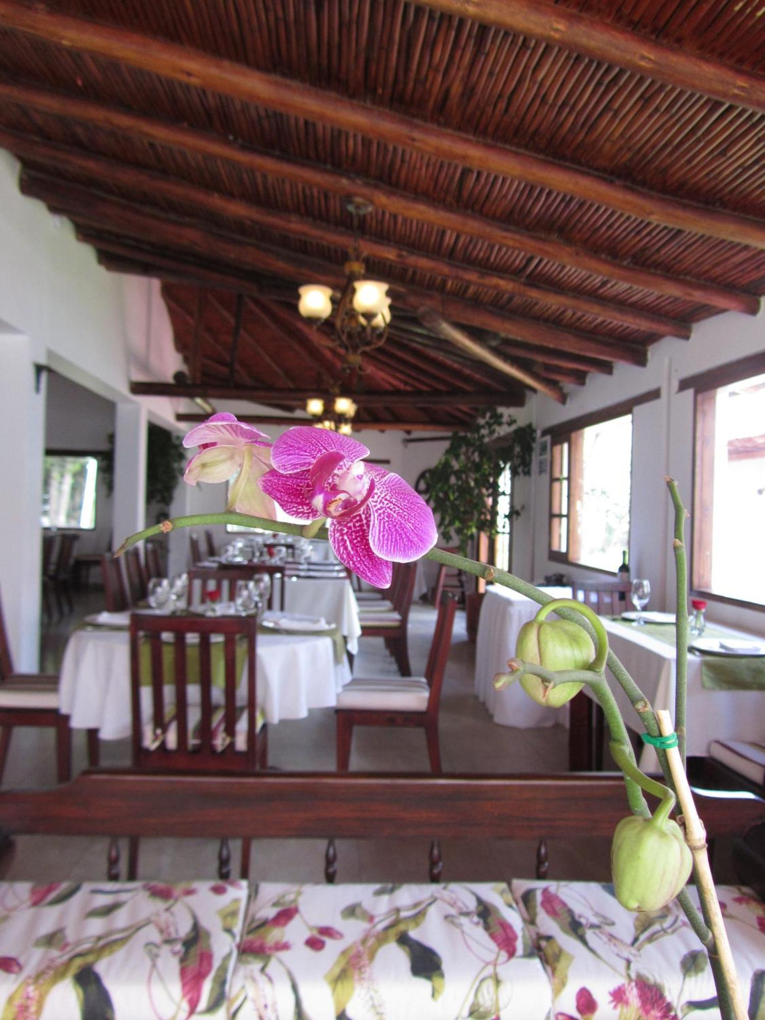 ホテル La Quinta San Andres イバラ エクステリア 写真